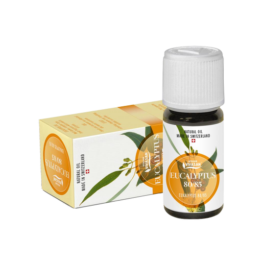 Olio essenziale di Eucalipto 10 ml